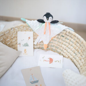 Coffret naissance bébé