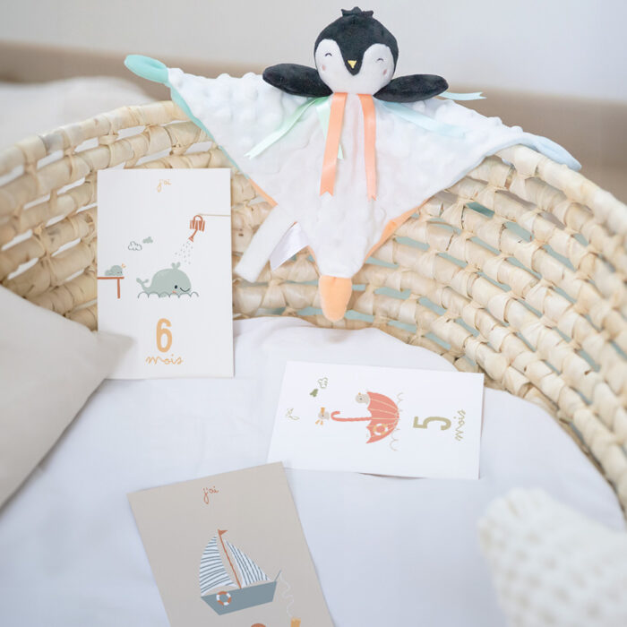 cadeau de naissance doudou cartes étapes