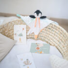 coffret naissance doux souvenirs bébé doudou cartes étapes