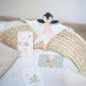 Coffret naissance bébé