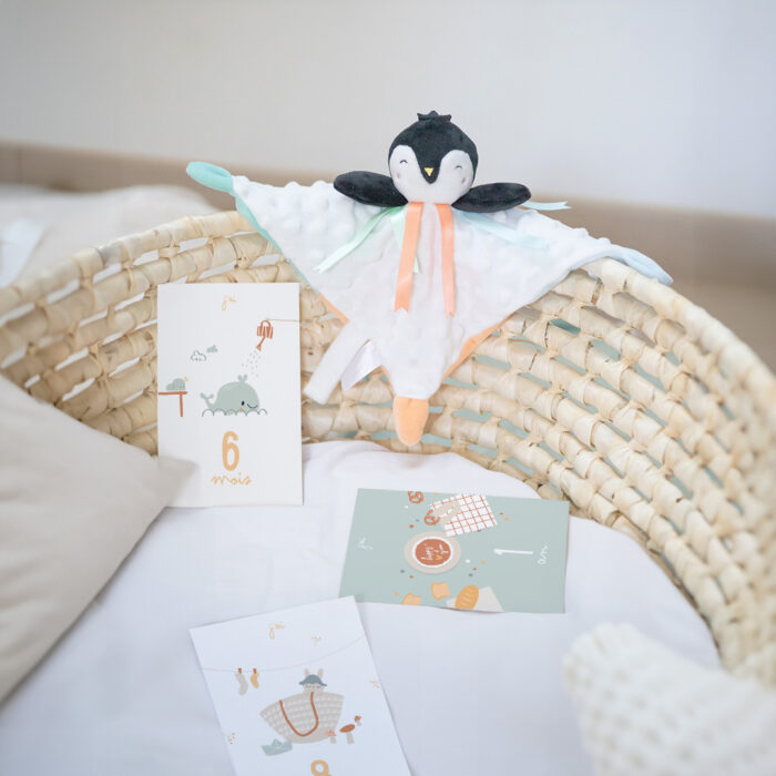 coffret naissance doux souvenirs bébé doudou cartes étapes