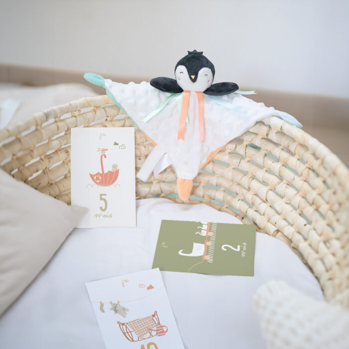 coffret naissance instants magiques doudou cartes étapes bébé