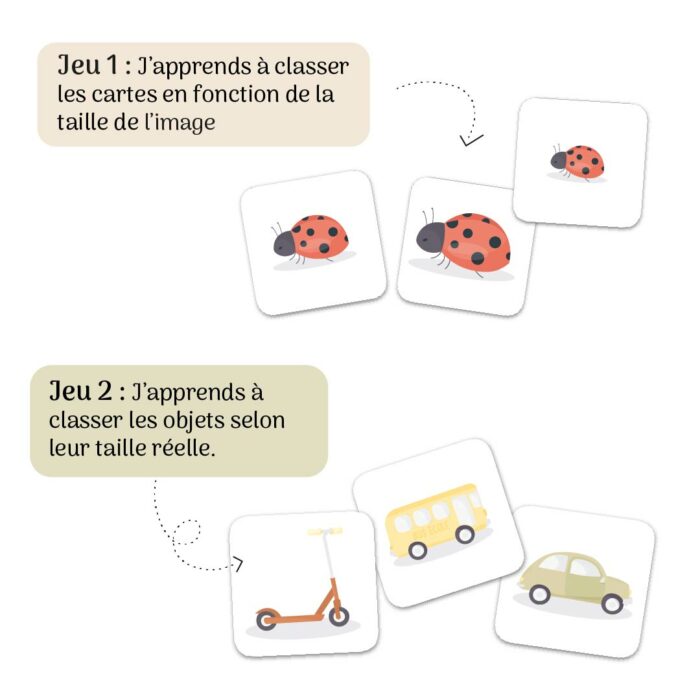 Jeu éducatif Atelier Gigogne pour apprendre à classer des objets par ordre de taille, avec cartes de coccinelles et cartes de véhicules pour développer la perception visuelle et la notion de grandeur.
