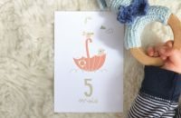 cartes étapes mes premiers mois cadeau de naissance photo souvenir bébé