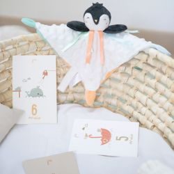 cadeau de naissance doudou cartes étapescadeau de naissance doudou cartes étapes